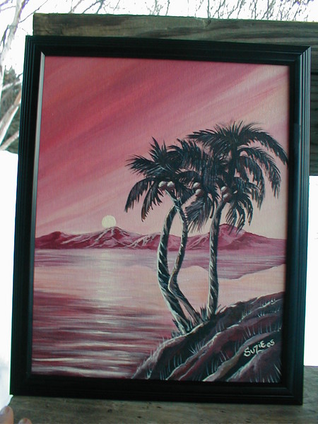 Peach Palm Night