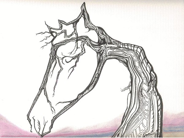 Equine Tree