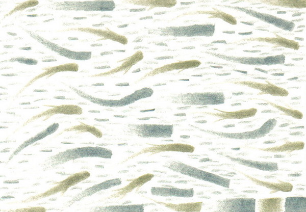 'GoldFish'
