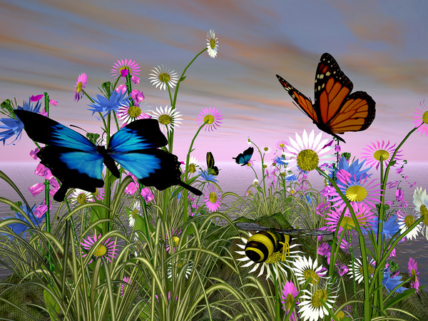 Daydreams
