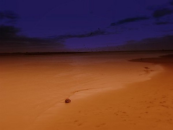 SAND AND SEA