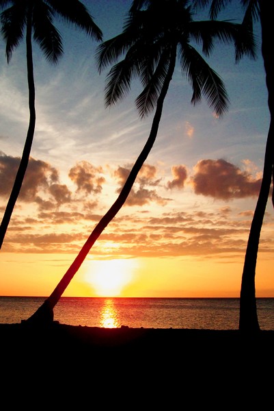 Tropical Sunset