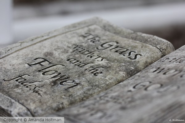 Graveyard Series #3