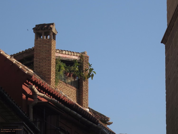 a summer in Andalucia (I)