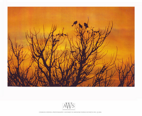 A Sunset Song