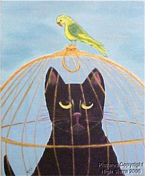 Boris & The Parakeet