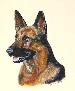 Shep