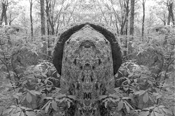 mirroredrock