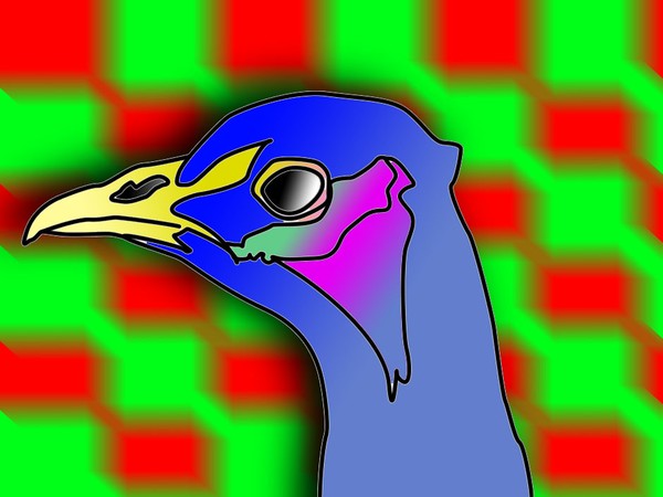 The bird
