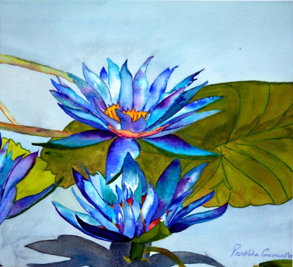 Lotus flowers