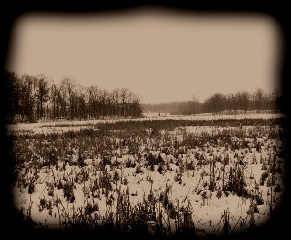 Kensington Park