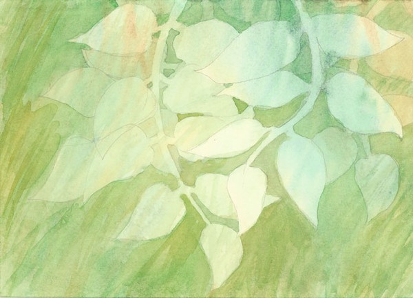 Leaves 1