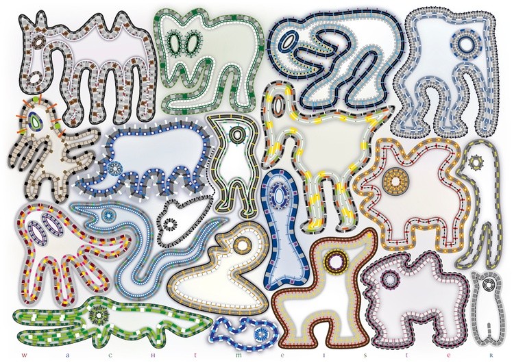 Cave Zoo