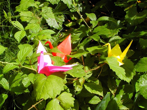 Origami 2