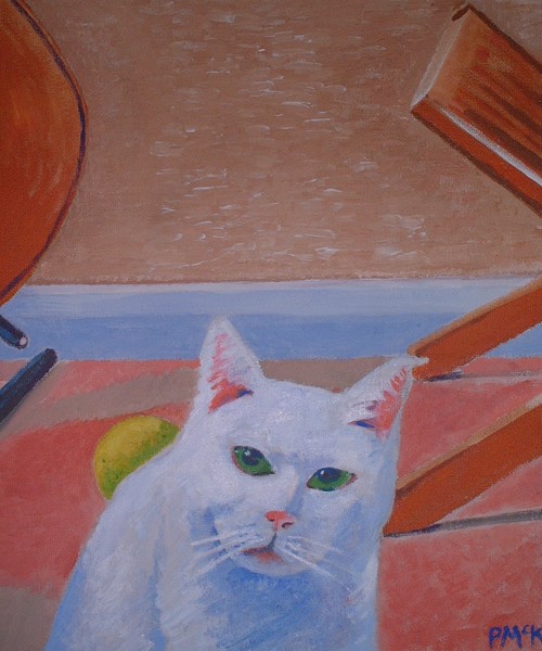 Ellie Cat