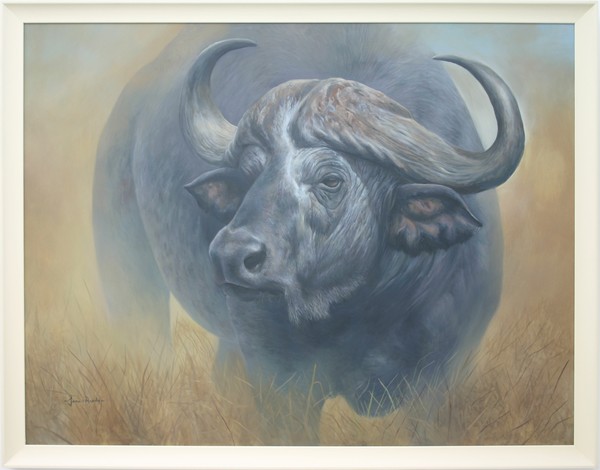 Buffalo