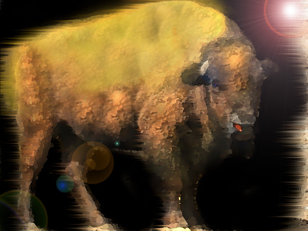 The Golden Bison