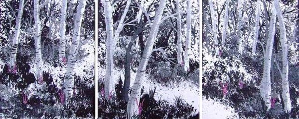 A Walk Through Birch Tree Wood