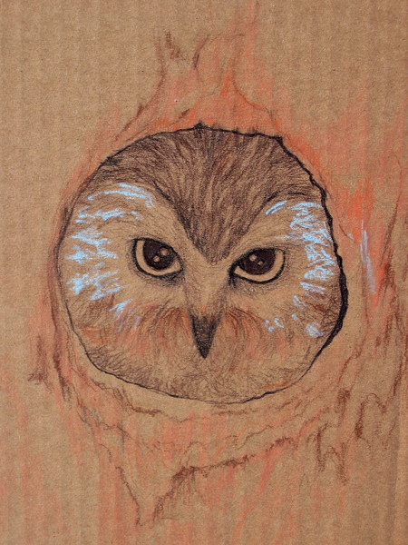 Owl face