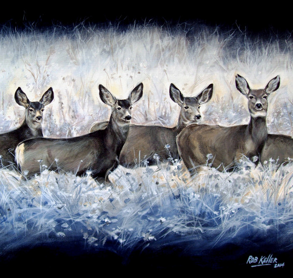 Deer  SOLD
