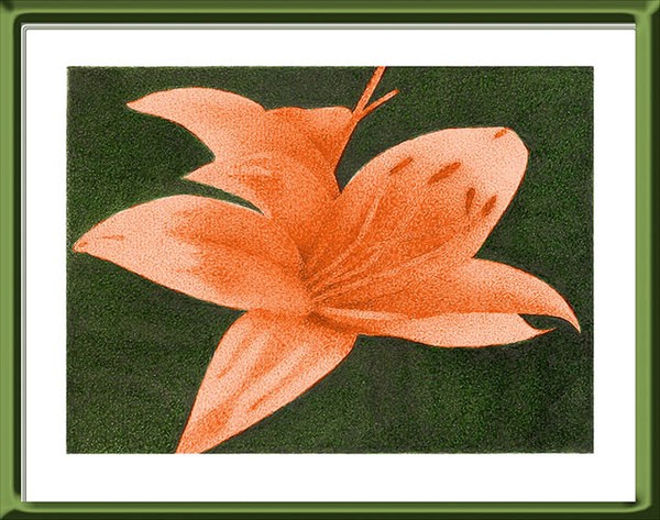 Flor dos sonhos