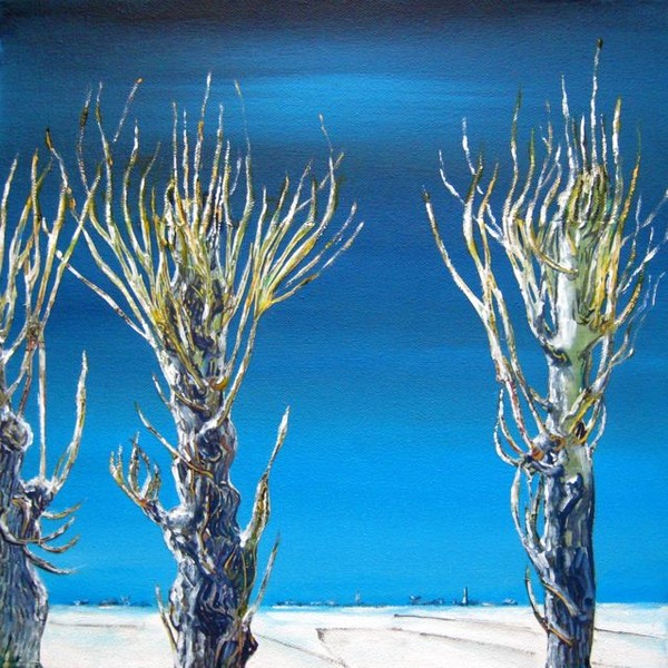 Dutch Pollard Willows