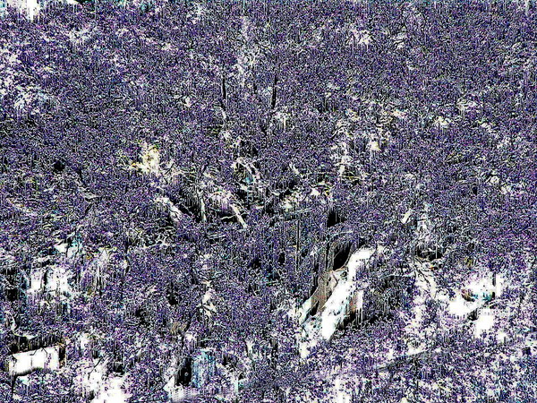 Pandora Purple