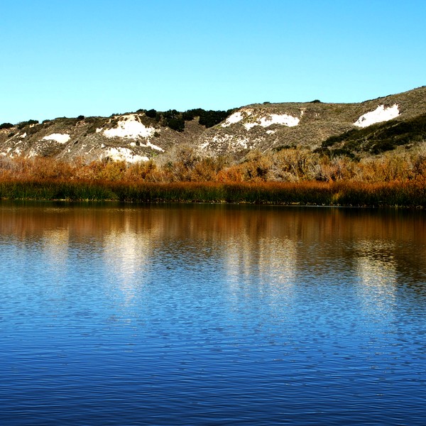 Pine Canyon 001
