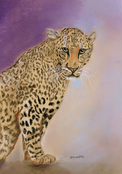 A Leopard never changes his spots