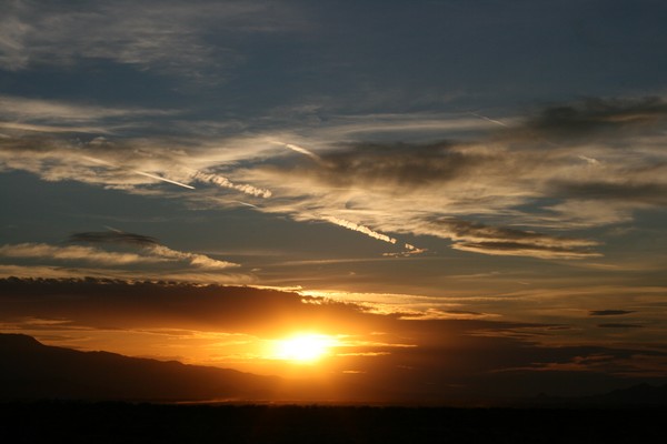 Evening Show  (up up close)