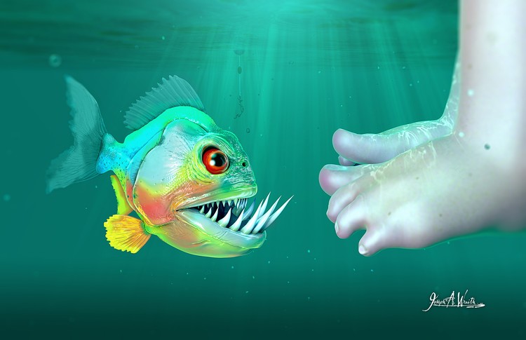 Live Bait