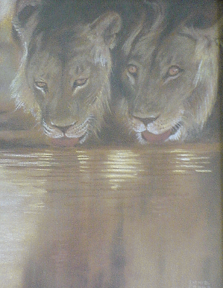 lions