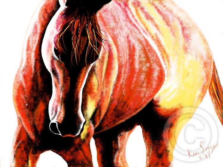 Orange Pony