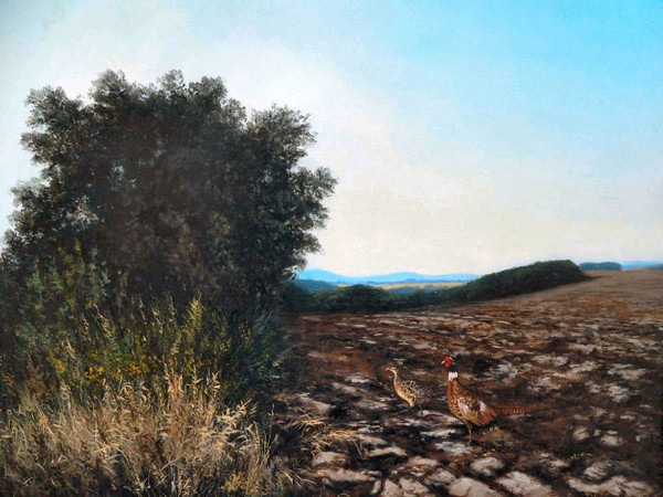 landscape of Nógrád