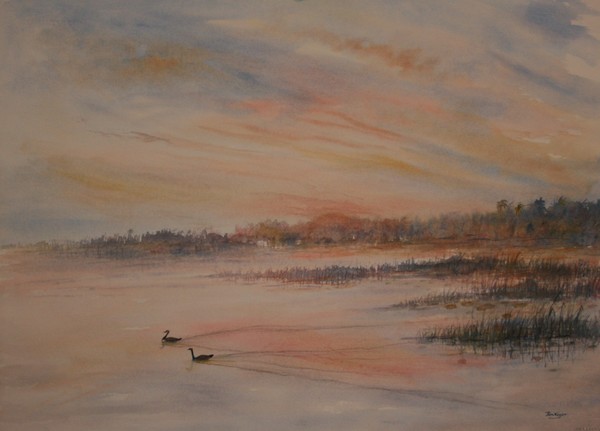 Canadian Geese at Sunset