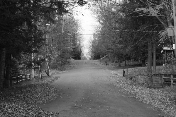 The Road to Camp
