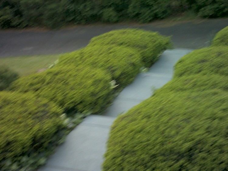 Picture from camera 110