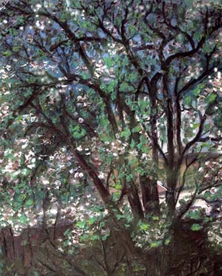 Blossom