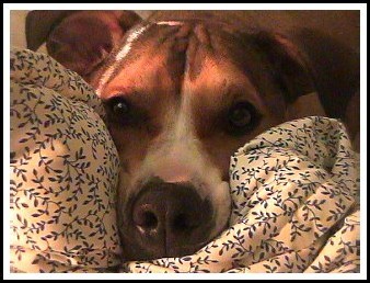 PEEKABOO