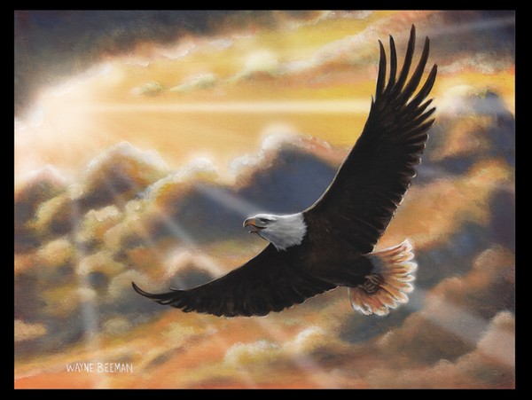 Eagles Wings
