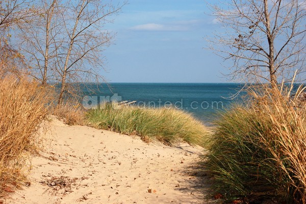 Autumn Beach Path 2 Photo