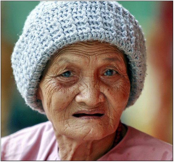 The News Paper Lady 