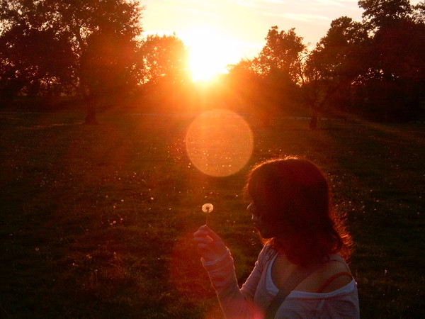 sun