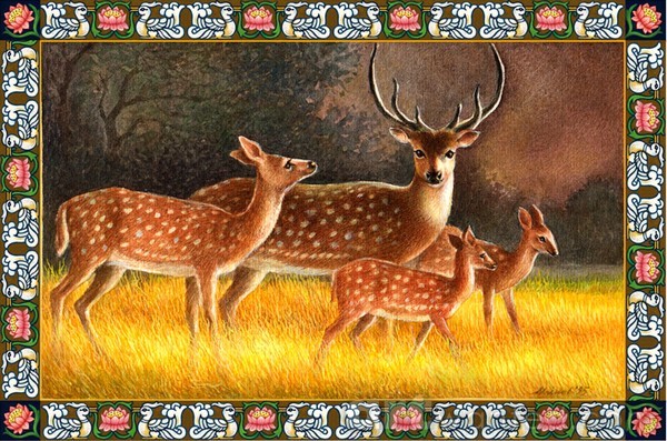 Deer family