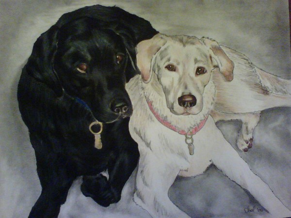 dogs