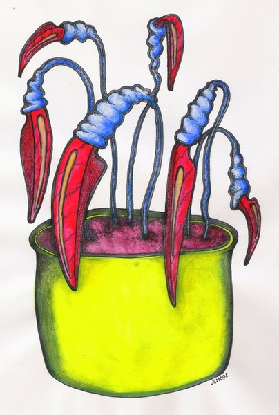 Planta cuchíllea