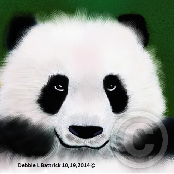 Panda Bear