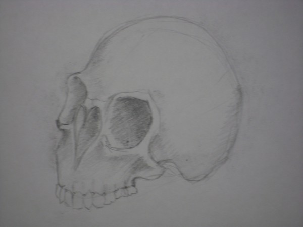 heart skull