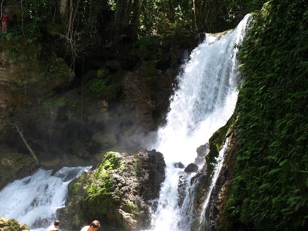 YS FALLS - JAMAICA
