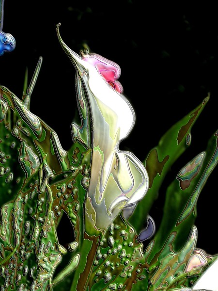 Enameled Calla